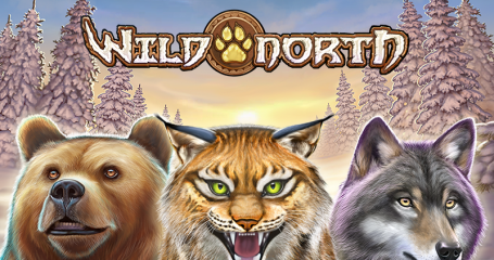 Wild North slot review