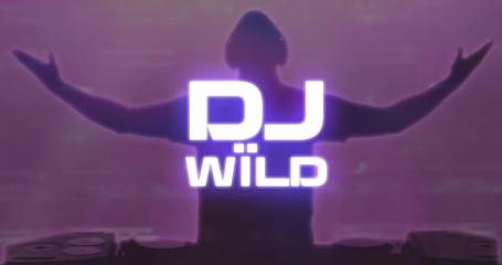 DJ Wild slot review