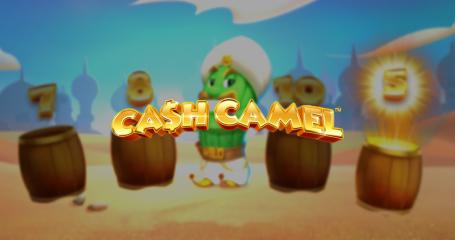 Cash Camel
